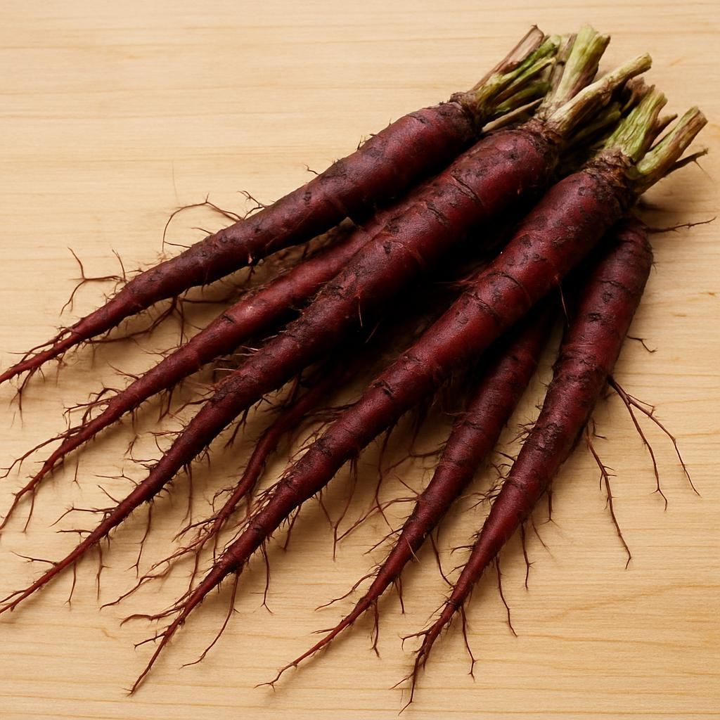 Alkanet Root