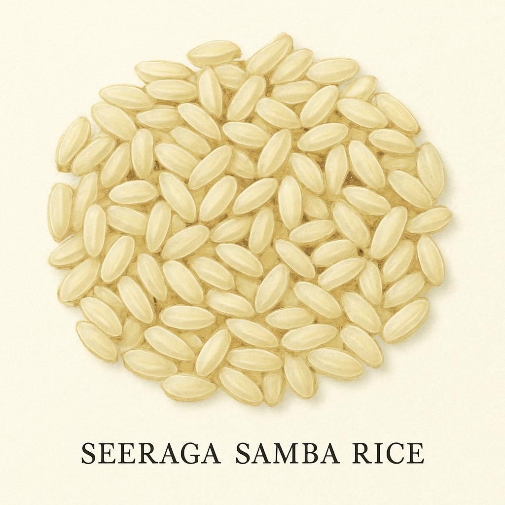 Close-up of Seeraga Samba Rice grains, known for their aromatic properties and unique texture.